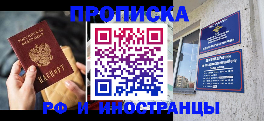 временная регистрация поиск в Щёлково